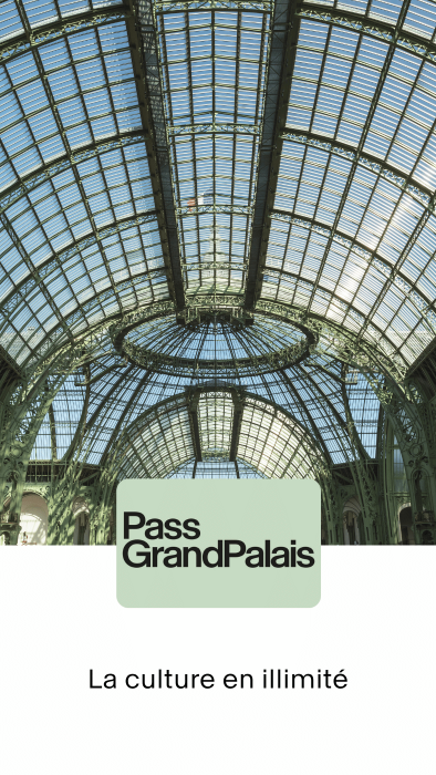 Visuel d'illustration du Pass GrandPalais