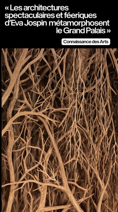 « les architectures spectaculaires et féeriques d’Eva Jospin métamorphosent le Grand Palais »