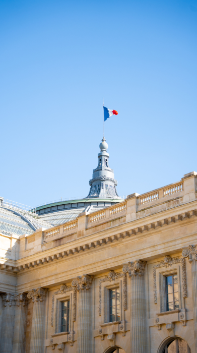 Vue extérieure du Grand Palais