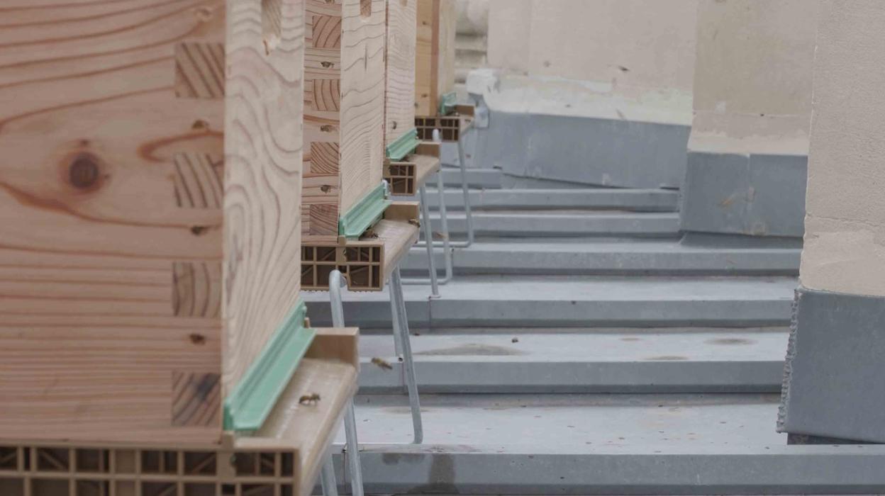 Abeilles sur le toit du Grand Palais