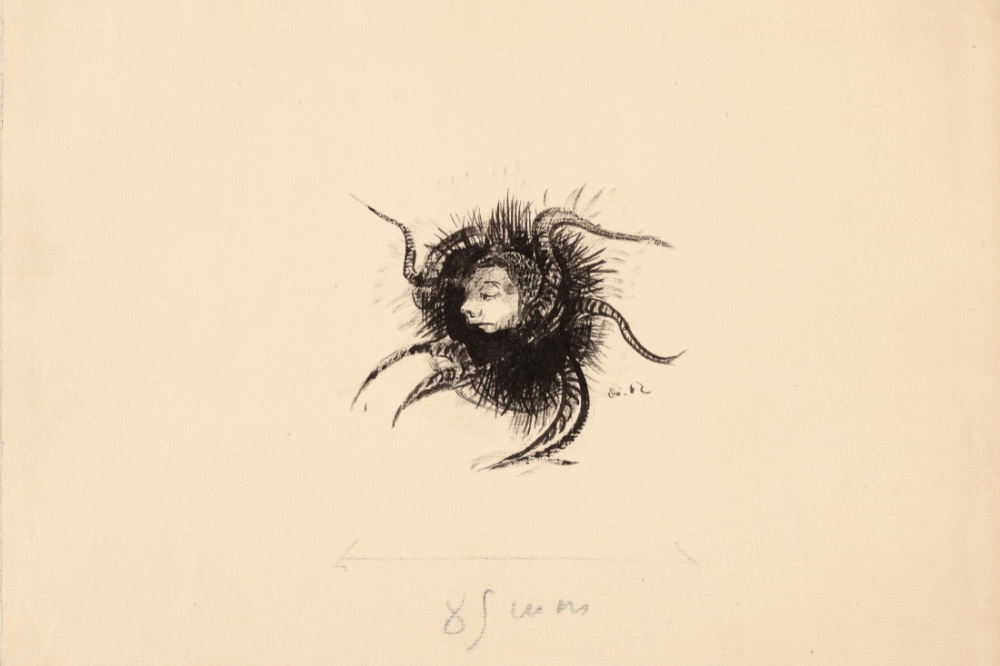 Tête dans un corps d'araignée par Redon Odilon (1840-1916)
