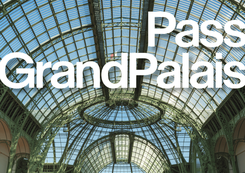 Verrière de la Nef du Grand Palais, 2025