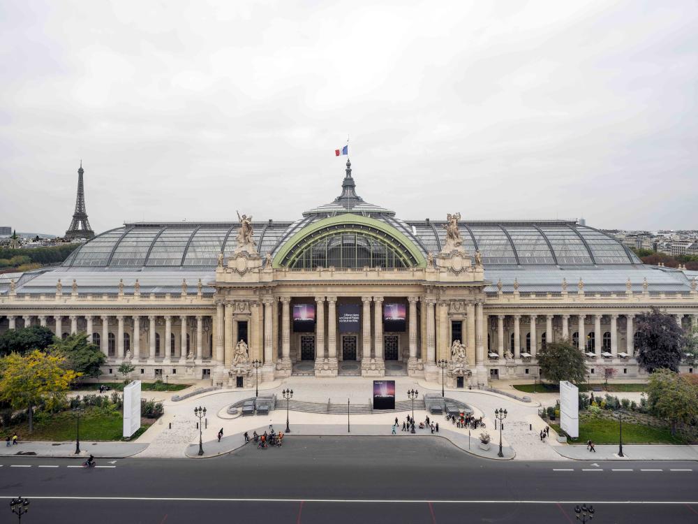 Vue du Grand Palais aerienne