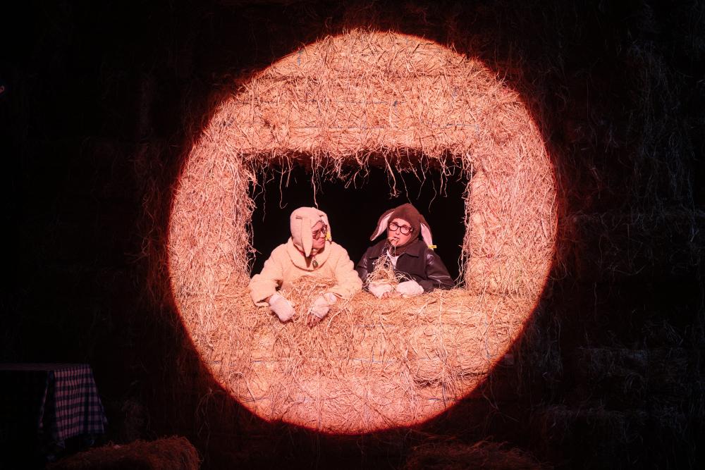 Spectacle Foutue Bergerie