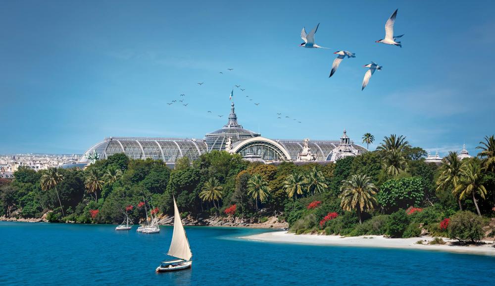 Vue du Grand Palais sous les tropiques pour Grand Palais d'été