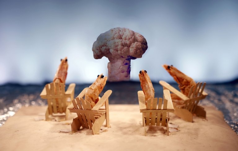 histoires de crevettes