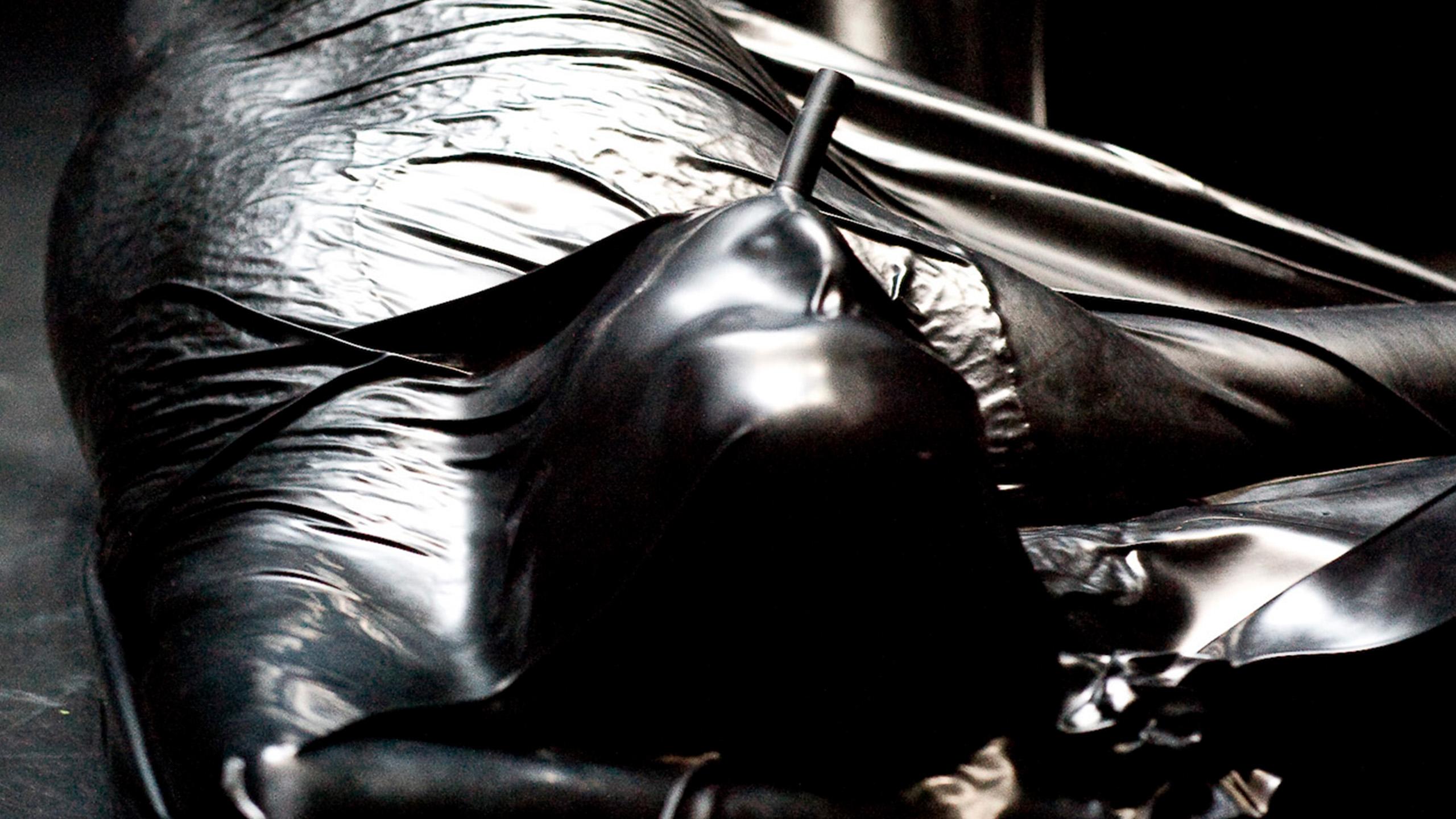 Visuel d'illustration de la pièce Sylphides