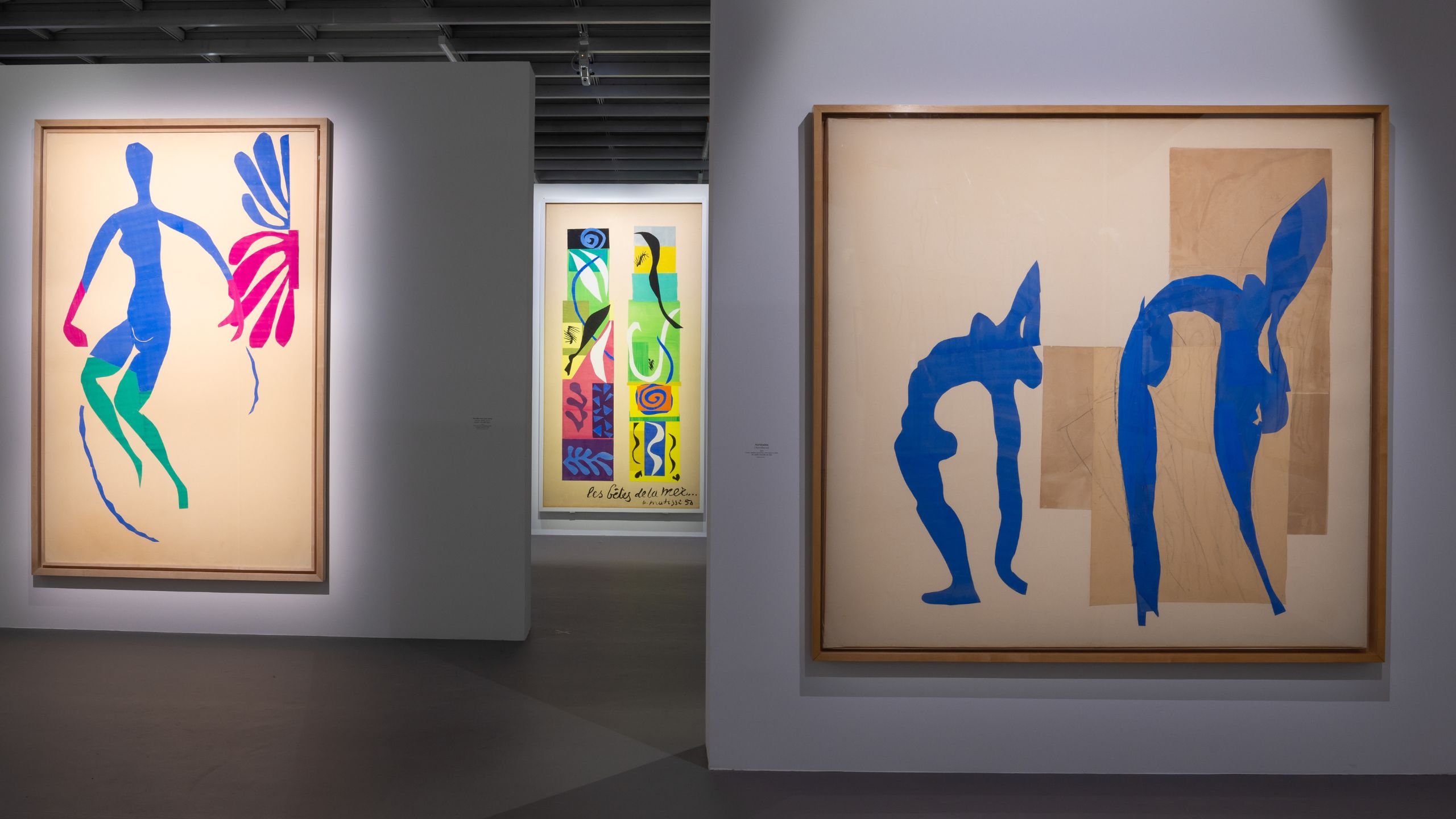 Vue de l'exposition Matisse 1941-1954