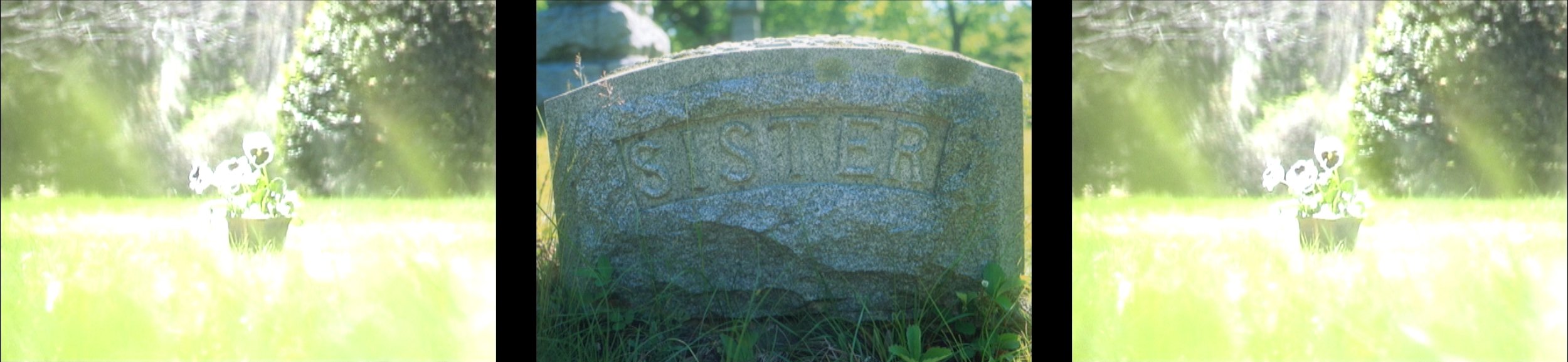 Photographies issues de l'oeuvre "Sisters, Saints, Sibyls"