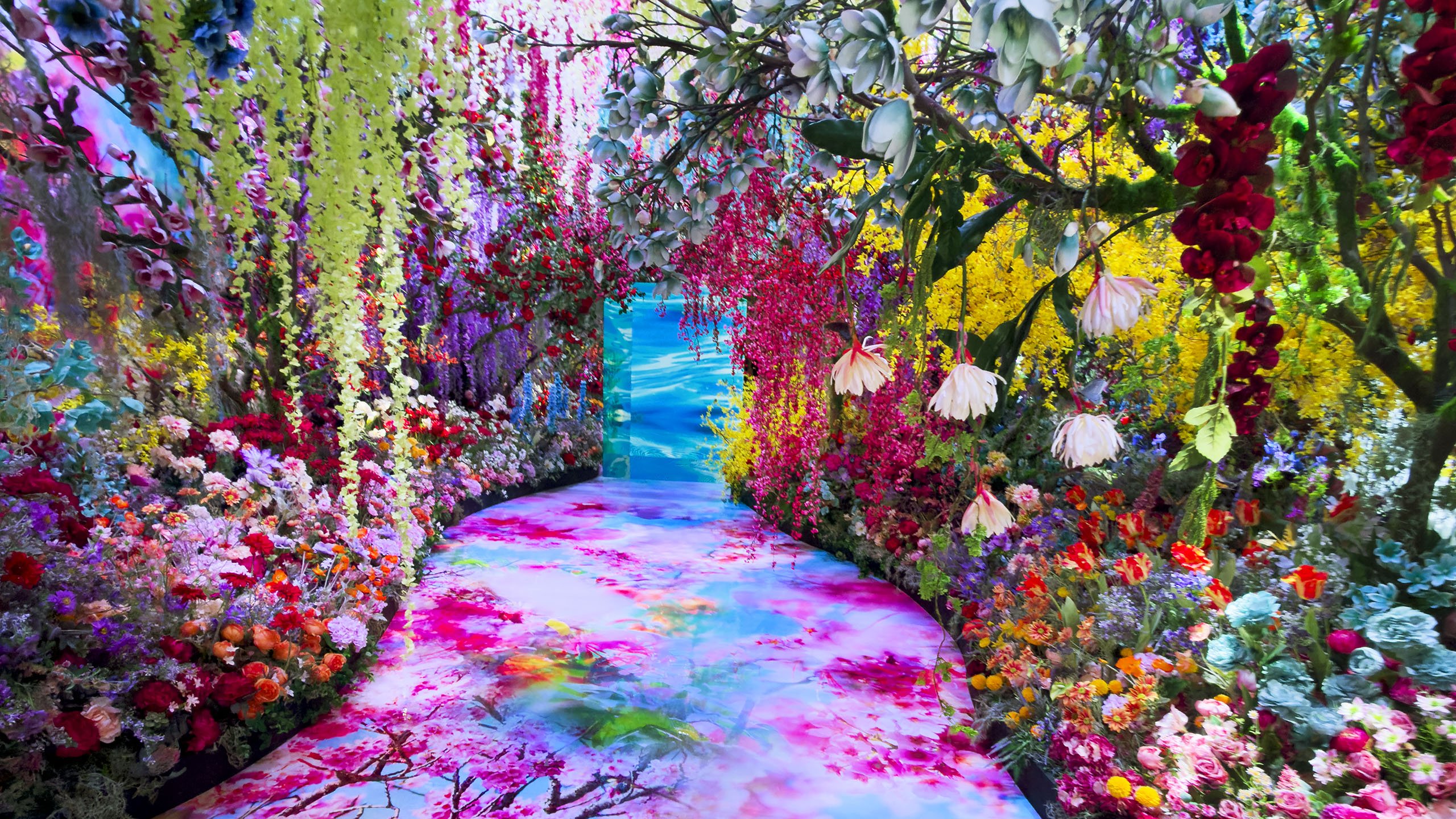 Un paysage composé de fleurs colorées encadrant un chemin rose et lumineux