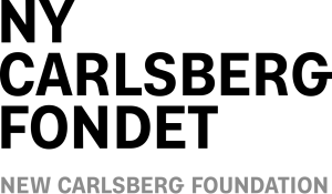 New Carlsberg Foundation