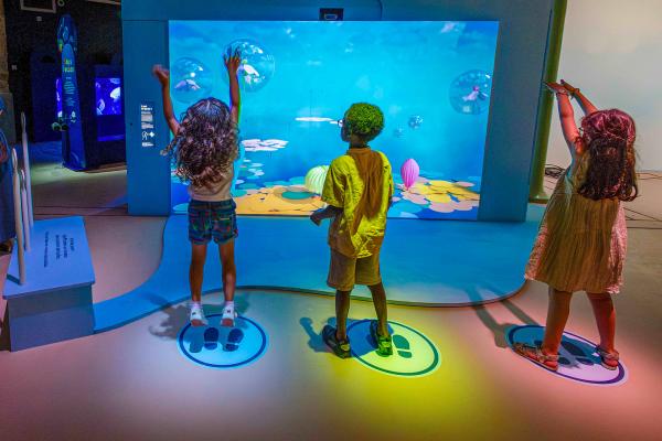 Vue des enfants dans l'expo Transparence