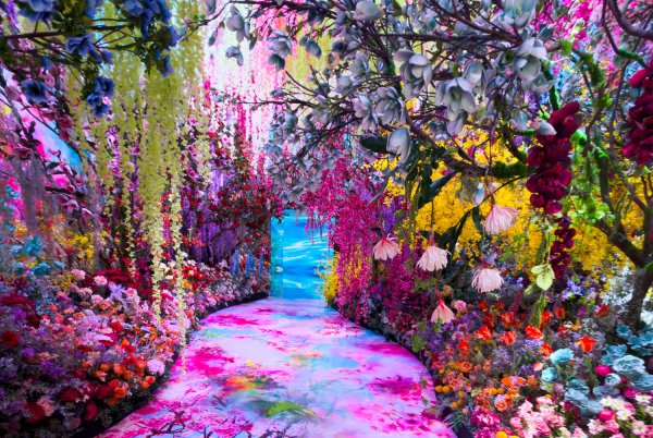 Un paysage composé de fleurs colorées encadrant un chemin rose et lumineux