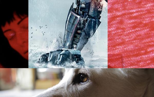 Aux frontières de l'humain