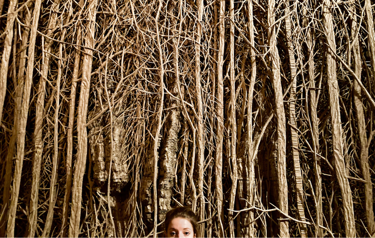 Visuel du spectacle Violence Forest