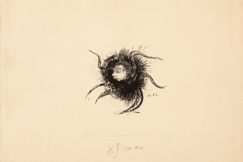 Tête dans un corps d'araignée par Redon Odilon (1840-1916)